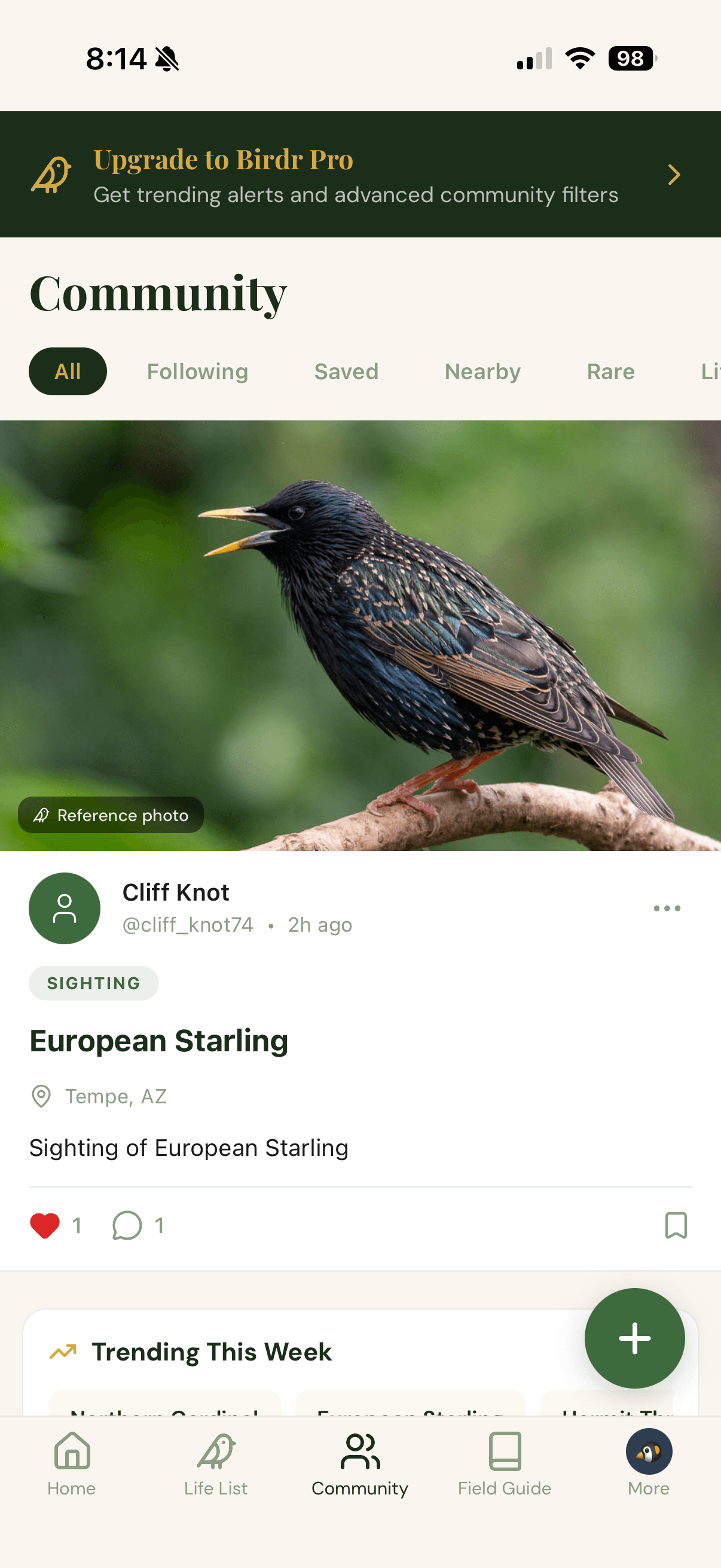 Birdr community feed screen