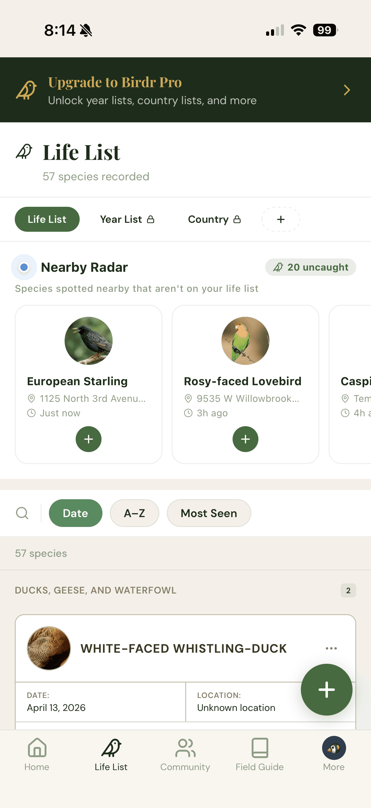 Birdr sightings log screen