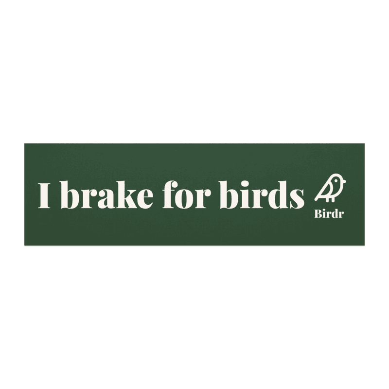 Car magnets