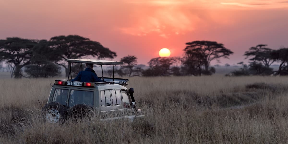 Birding in Kruger NP