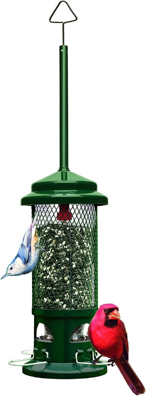 Brome Squirrel Buster Standard