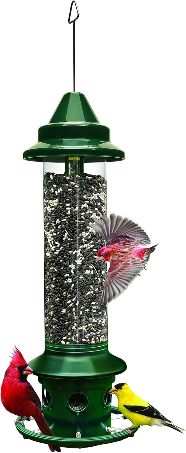 Brome Squirrel Buster Plus